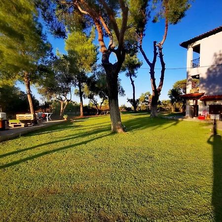 Golden Summer Apartment Nea Fokea Luaran gambar