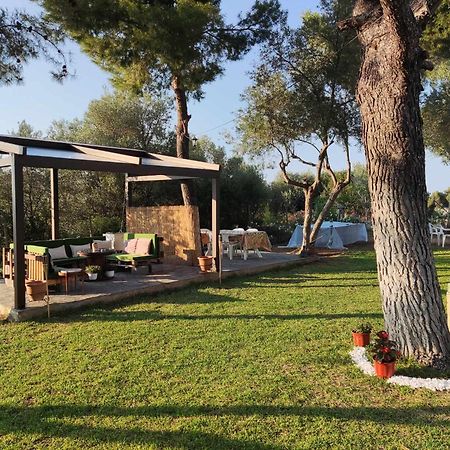 Golden Summer Apartment Nea Fokea Luaran gambar