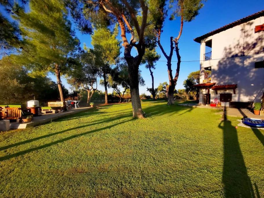 Golden Summer Apartment Nea Fokea Luaran gambar