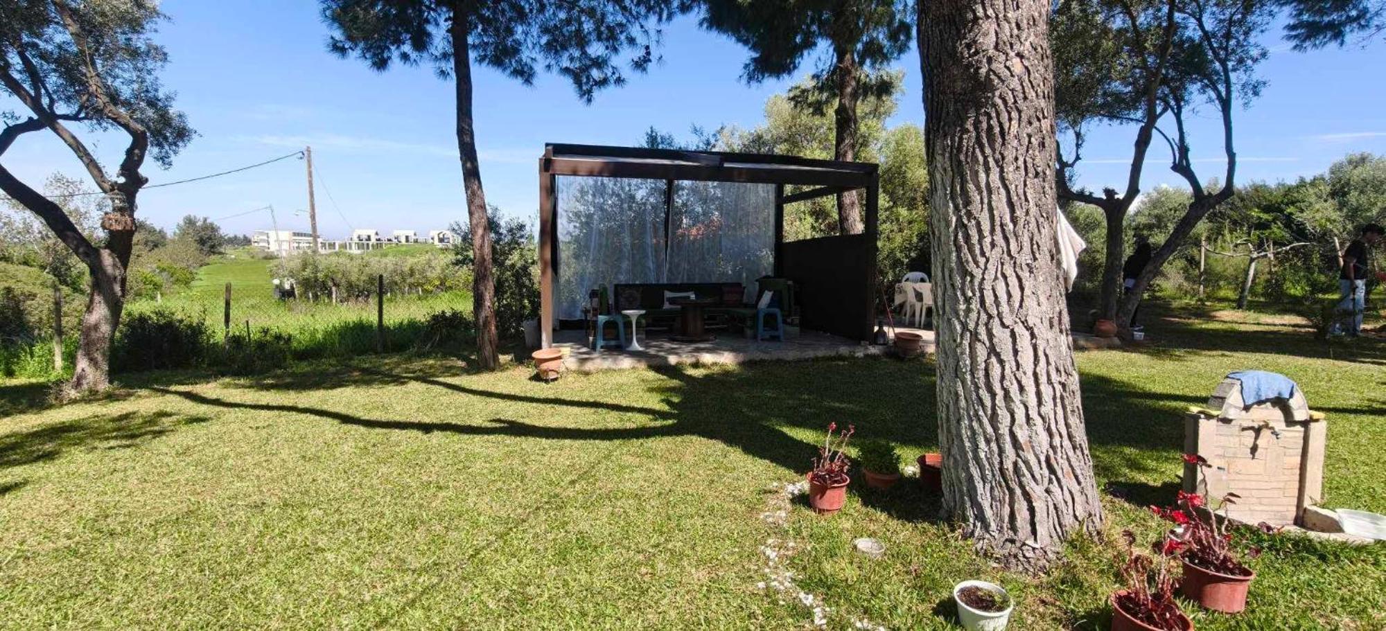Golden Summer Apartment Nea Fokea Luaran gambar